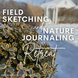 Field Sketching and Nature Journaling Retreat March 8-12