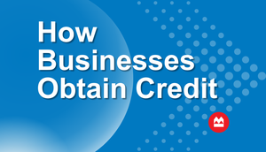 How Businesses Obtain Credit