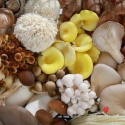 So “Mush” Love for Mushrooms Cooking Class for Ages 16+