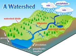 Kids Time (Experts): Watershed Science