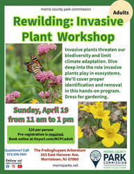 Rewilding: Invasive Plant Workshop