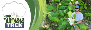 Tree Trek