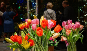 After Hours with the Flowers