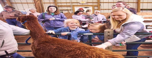 Wagon Days at Longmeadow Rescue Ranch