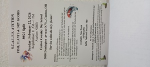 S.C.A.L.E.S. Auction