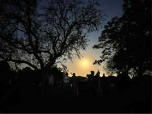 Full Sugar Maple Moon Hike