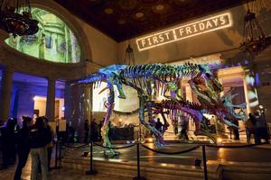 First Fridays: March | Natural History Museum of L.A.