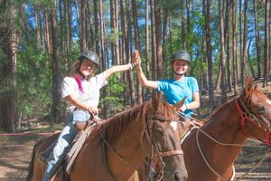 Friendly Pines Camp Hosts FREE 'Round-Up' Jamboree & BBQ Lunch in Phoenix