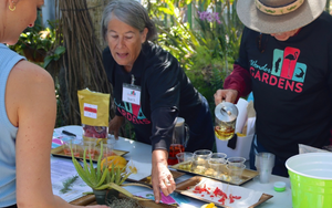 Early Earth Day at the Wonder Gardens