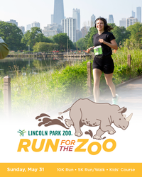 Run for the Zoo