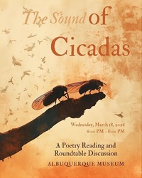 The Sound of Cicadas: A Resolana