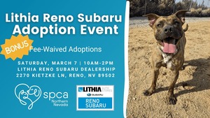 SPCA of Northern Nevada & Lithia Reno Subaru's BONUS Fee-Waived Adoption Event!