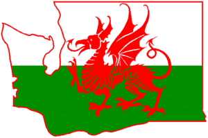 Explore Welsh music, stories, and traditions at a festive St. David’s Day celebration