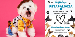 PETAPALOOZ A 11