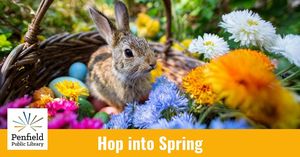 Hop into Spring