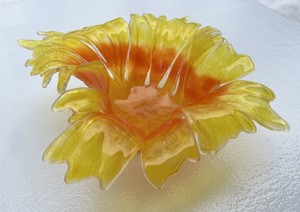 New Artist at Nepenthe Gallery:  SHONA D'CRUZ