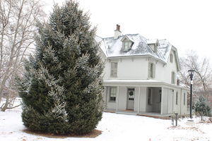 Be A Badass Arborist!