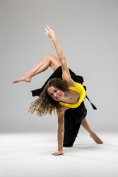 Metropolitan School of the Arts Company Project