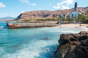 Public Art Installation Opening with Artists, Music, and Food