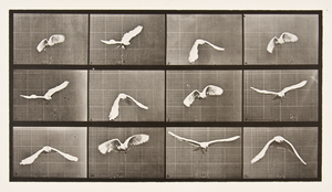 Winter Reception: "A Measure of Value" and "Dissecting Locomotion"