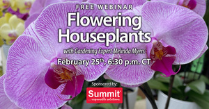 FREE WEBINAR: Flowering Houseplants with Melinda Myers