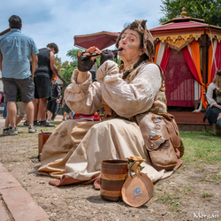 45th Annual Scarborough Renaissance Festival