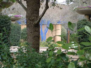 The Nature of Nature - Biodiversity in the Hudson Valey