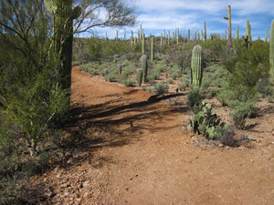 Sweetwater Preserve Nature Hike with a Geology Twist