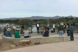 Capturing the Sonoran Desert through Nature Journaling