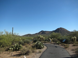 Family Wildflower Walk