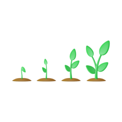 Nature Stories – Seeds and Sprouts!