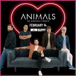 Maroon 5 Tribute | Animals