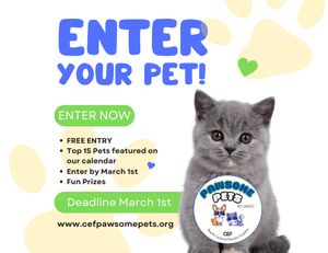 Pawsome Pets Contest