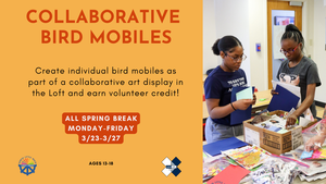 Collaborative Bird Mobiles: All Spring Break