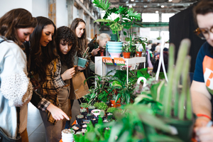 Bloom Flower and Home Market