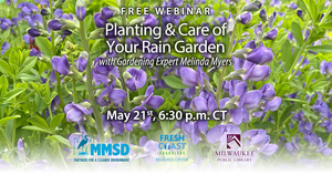 Free Webinar: Planting & Care of Your Rain Garden