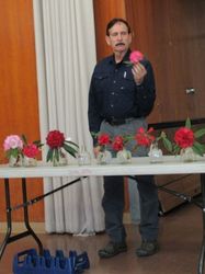 Learn About the Care of Rhododendrons