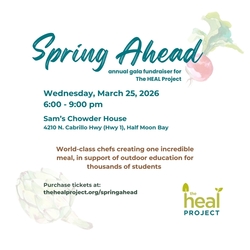 The HEAL Project Spring Ahead Annual Gala