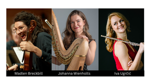 ECHOES of TIME: LunART Collective at Token Creek Chamber Music