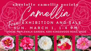 Camellia Exhibition and Sale