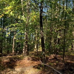 Wildlands Conservancy – Black River BioBlitz