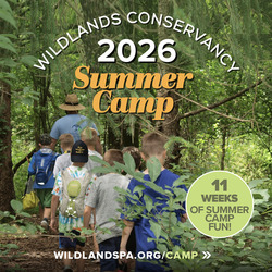 Wildlands Conservancy’s Summer Camp 2026!