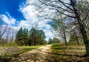 Wisdom Prairie Spring Tour