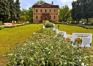 Spring Plant Sale | HC Members-Only Early Access