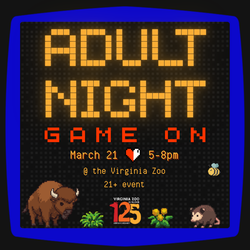 Adult Night: Game On!