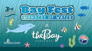Bay Fest