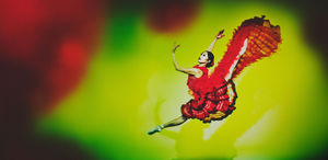 Don Quixote - San Francisco Ballet