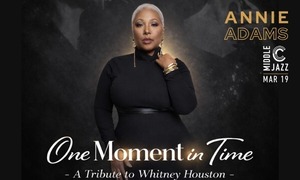 One Moment in Time-A Tribute to Whitney Houston by Annie Adams