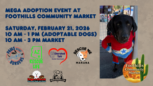 Mega Adoption Event at Foothills Community Market