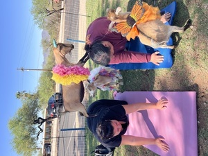 Goat Yoga Denny Dunn Park Sunday